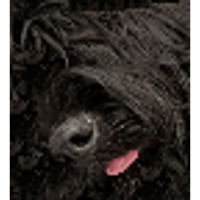 sticker image #5