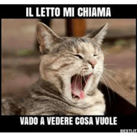 sticker image #19