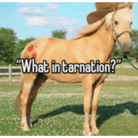 sticker image #13