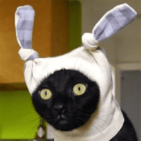 Sticker Maker - Stupid animal faces Sticker Maker - Stupid animal faces