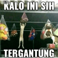sticker image #26