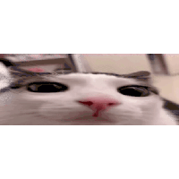 sticker image #9