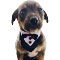 sticker image #14