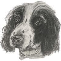 sticker image #5