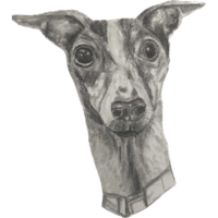 sticker image #6