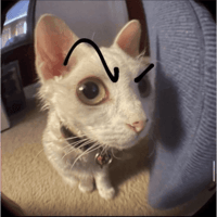 sticker image #23
