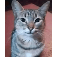 sticker image #16