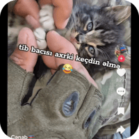 sticker image #4