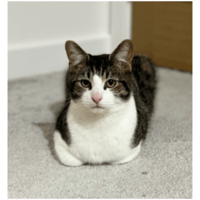 sticker image #10