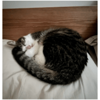 sticker image #11