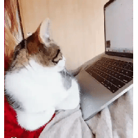 sticker image #18