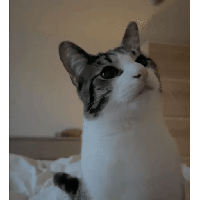 sticker image #22