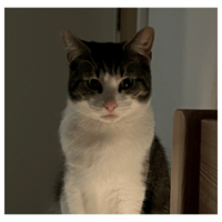 sticker image #9