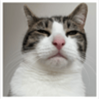 tray_icon