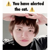 sticker image #5