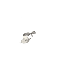 sticker image #12