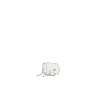 sticker image #21