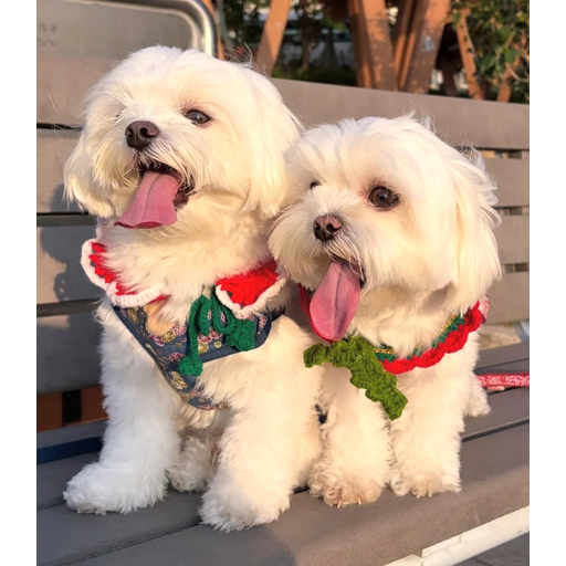 tray_icon #125428 sticker_pack