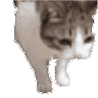 sticker image #1