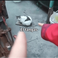 sticker image #18