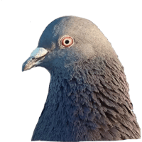 sticker image #12