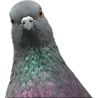 sticker image #19