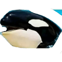 sticker image #20