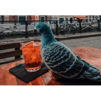sticker image #25