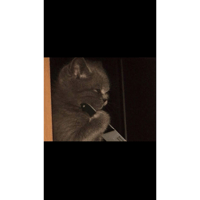 sticker image #1
