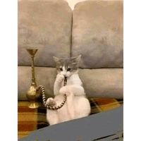 sticker image #22