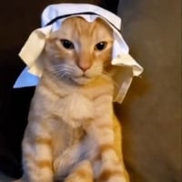 sticker image #24