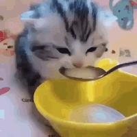 sticker image #25