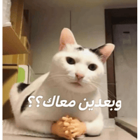 sticker image #5