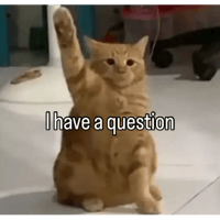sticker image #12