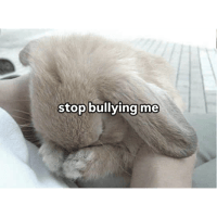 sticker image #14