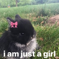 sticker image #16