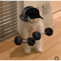 sticker image #28
