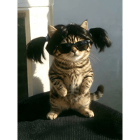 sticker image #29