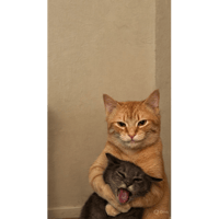 sticker image #30