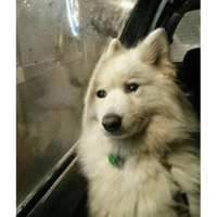 sticker image #13