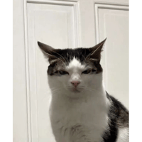 sticker image #15