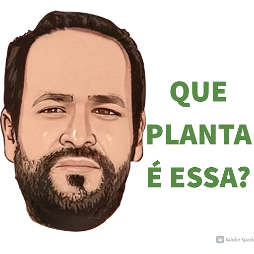 Sticker Maker - Tiago MP