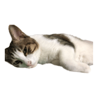 sticker image #10