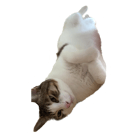 sticker image #12