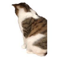 sticker image #16