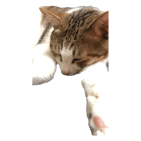 sticker image #17