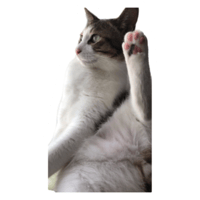 sticker image #24