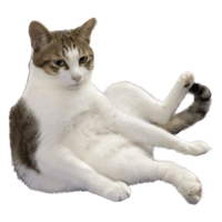 sticker image #25