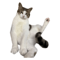 sticker image #28