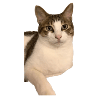 sticker image #29